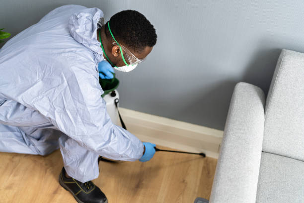 Trusted Moorestown Lenola, NJ Pest Control Experts